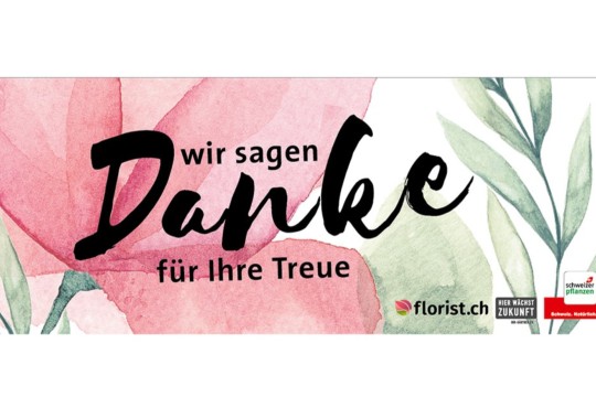 Blache_80x200_d_Format Web.jpg